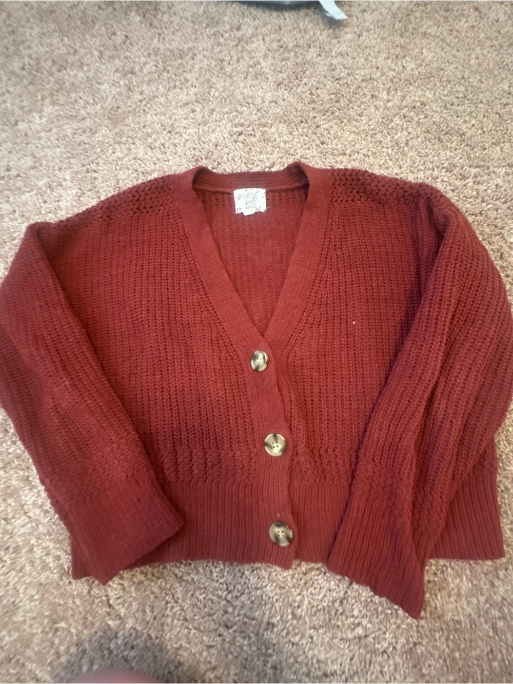Hippie Rose Chunky Button-Front Cardigan in Deep Rust